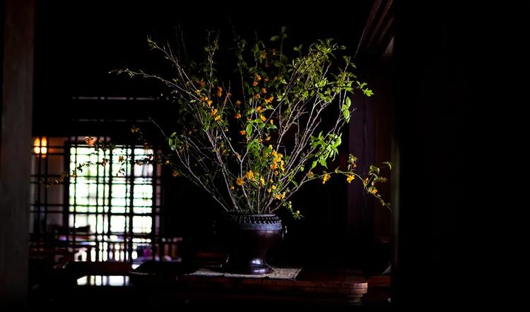 山荘 無量塔 tans barで飾られたお花